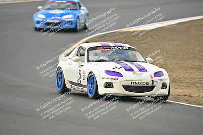 media/Jan-26-2025-CalClub SCCA (Sun) [[cfcea7df88]]/Group 1/Race/